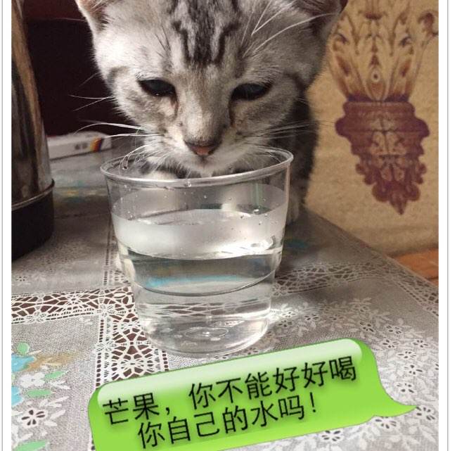公有住房租赁合同多少钱